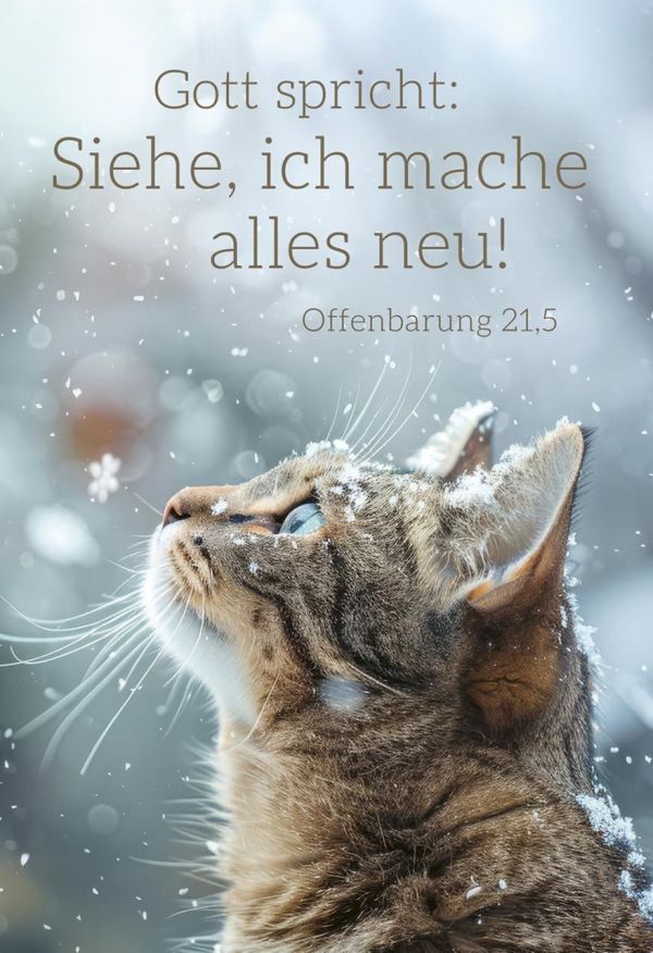 Jahreslosung 2026 - Poster A3 "Katze"