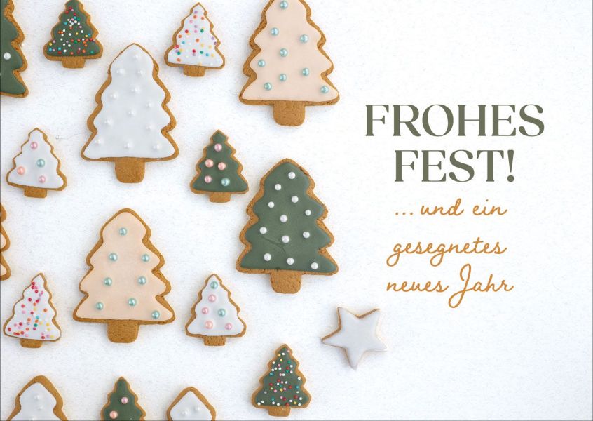 Faltkarte - Frohes Fest und ein gesegnetes neues Jahr