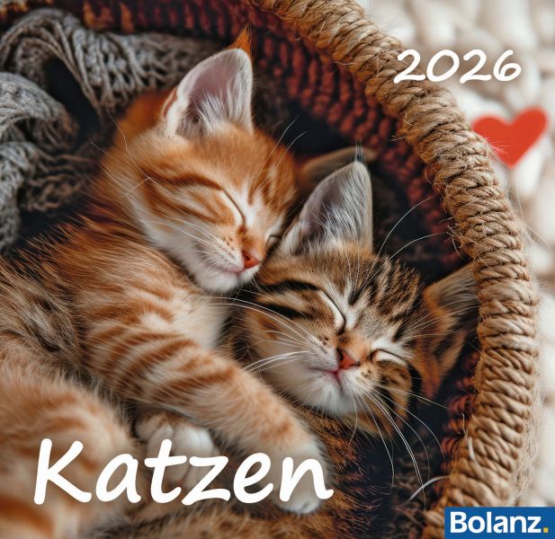 Katzen 2026 - Tischkalender