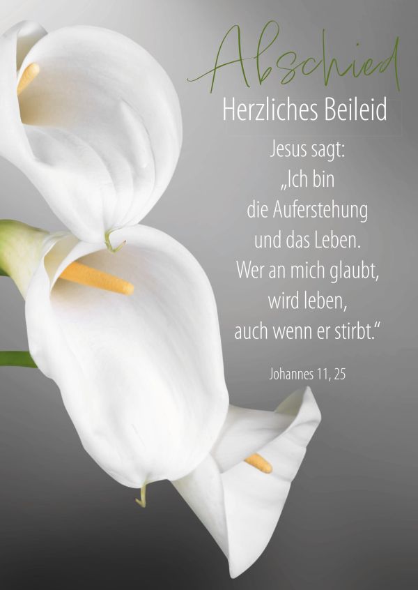 Faltkarte "Abschied - Herzliches Beileid"