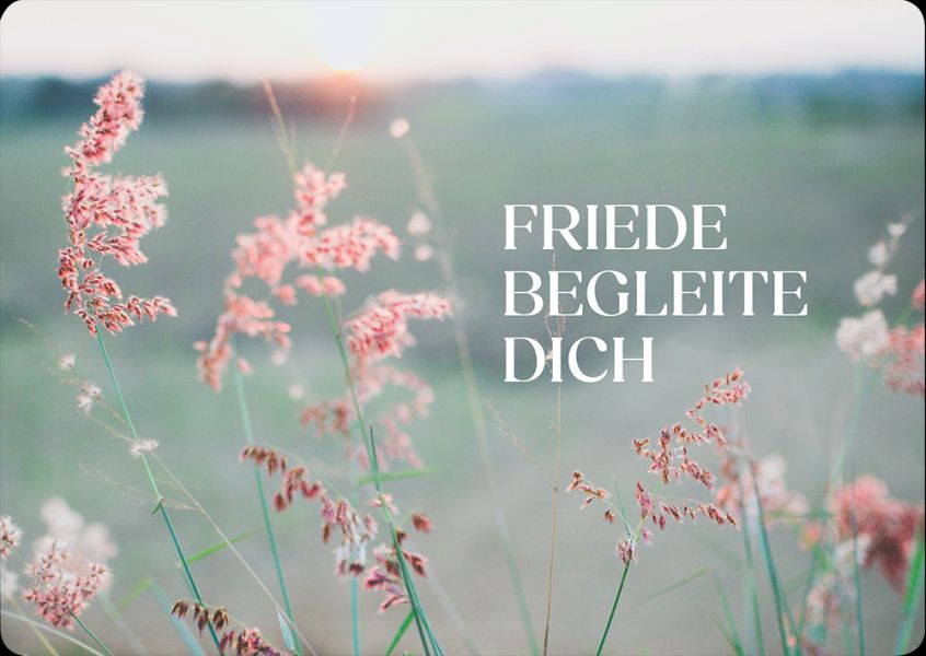 Postkarte - Friede begleite dich
