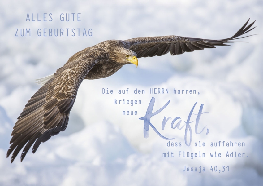 Faltkarte "Alles Gute zum Geburtstag" - Adler