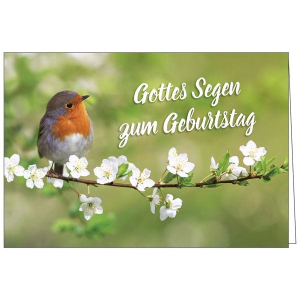 Faltkarte: Gottes Segen zum Geburtstag