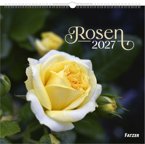 Rosen 2027 - Wandkalender