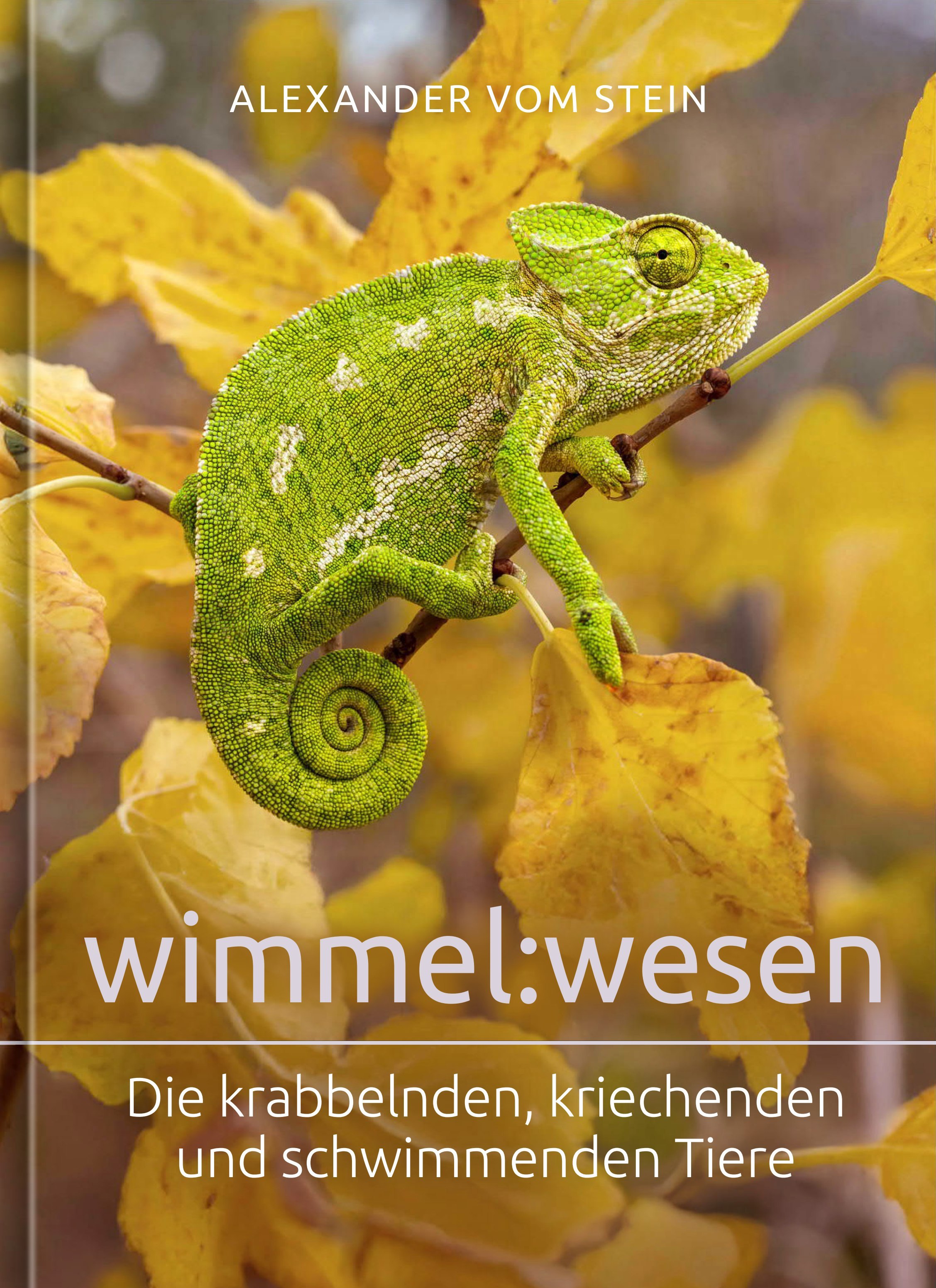 wimmel:wesen