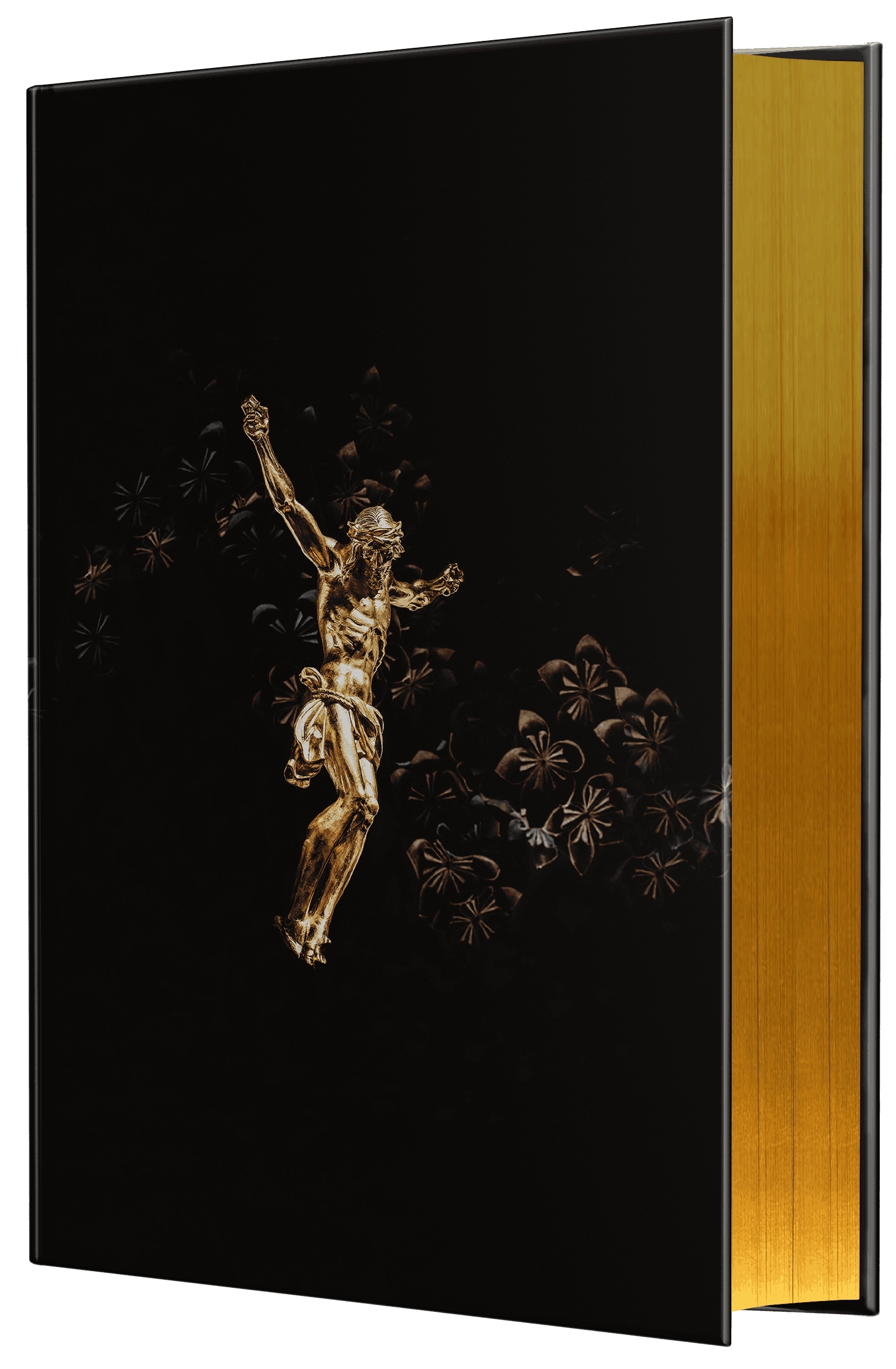 Hoffnung für alle. Die Bibel - Golden Jesus Edition