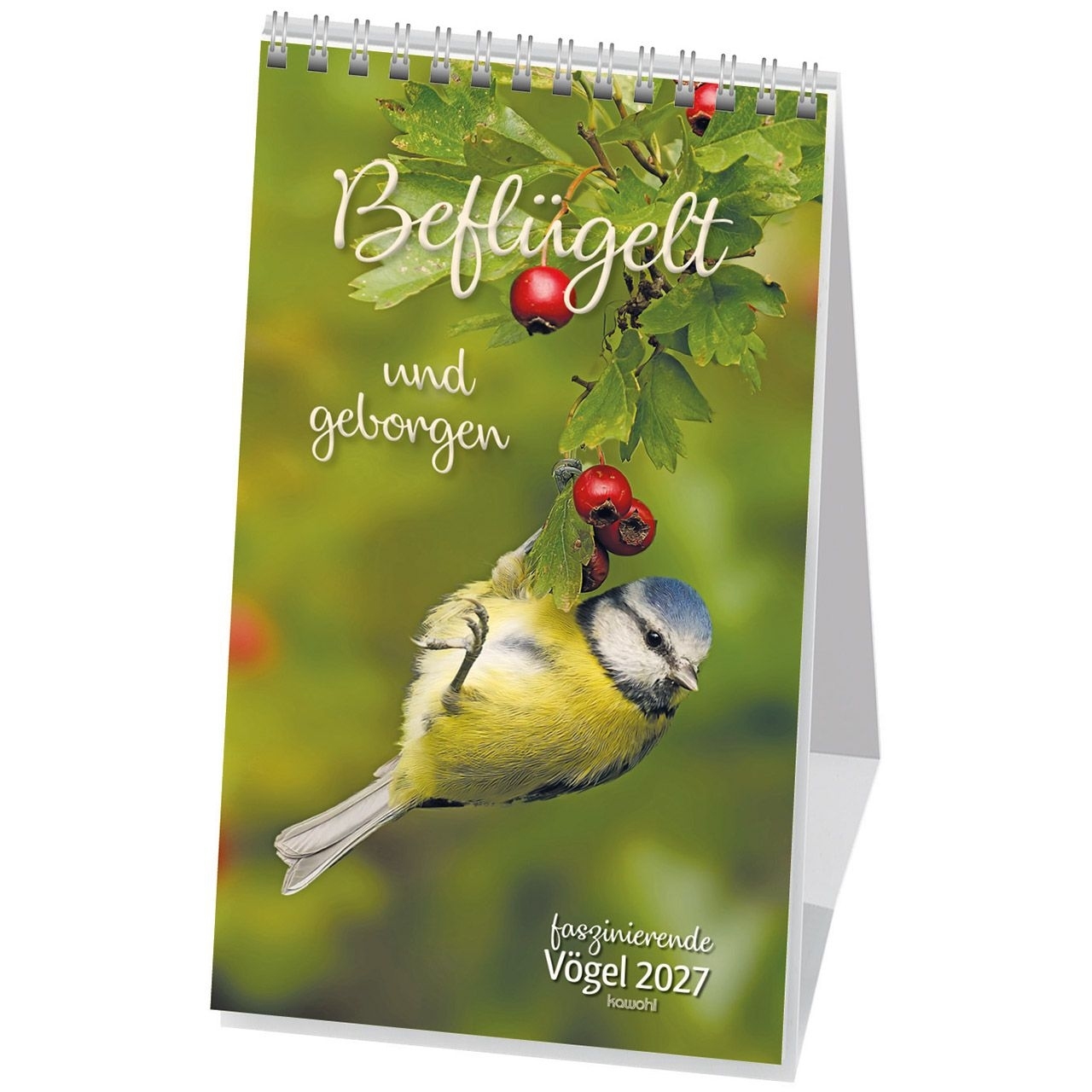 Beflügelt und geborgen 2027 - Postkartenkalender