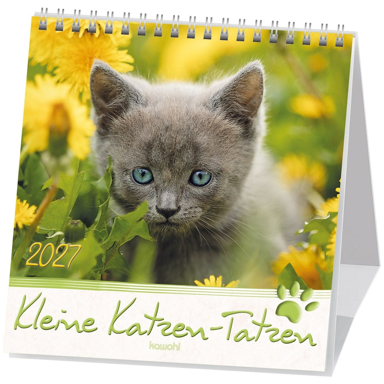Kleine Katzen-Tatzen 2027 - Postkartenkalender