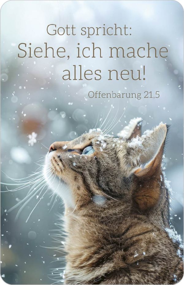 Jahreslosung 2026 - Kalenderkärtchen Katze