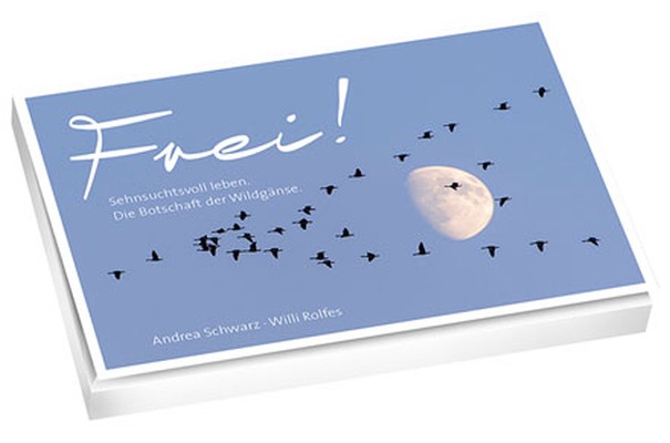 Frei! - Postkartenbuch