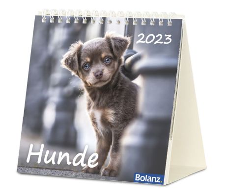 Hunde 2023 - Tischkalender