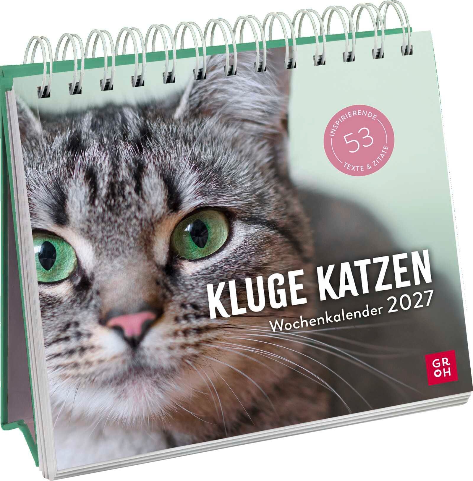 Kluge Katzen 2027 - Wochenkalender