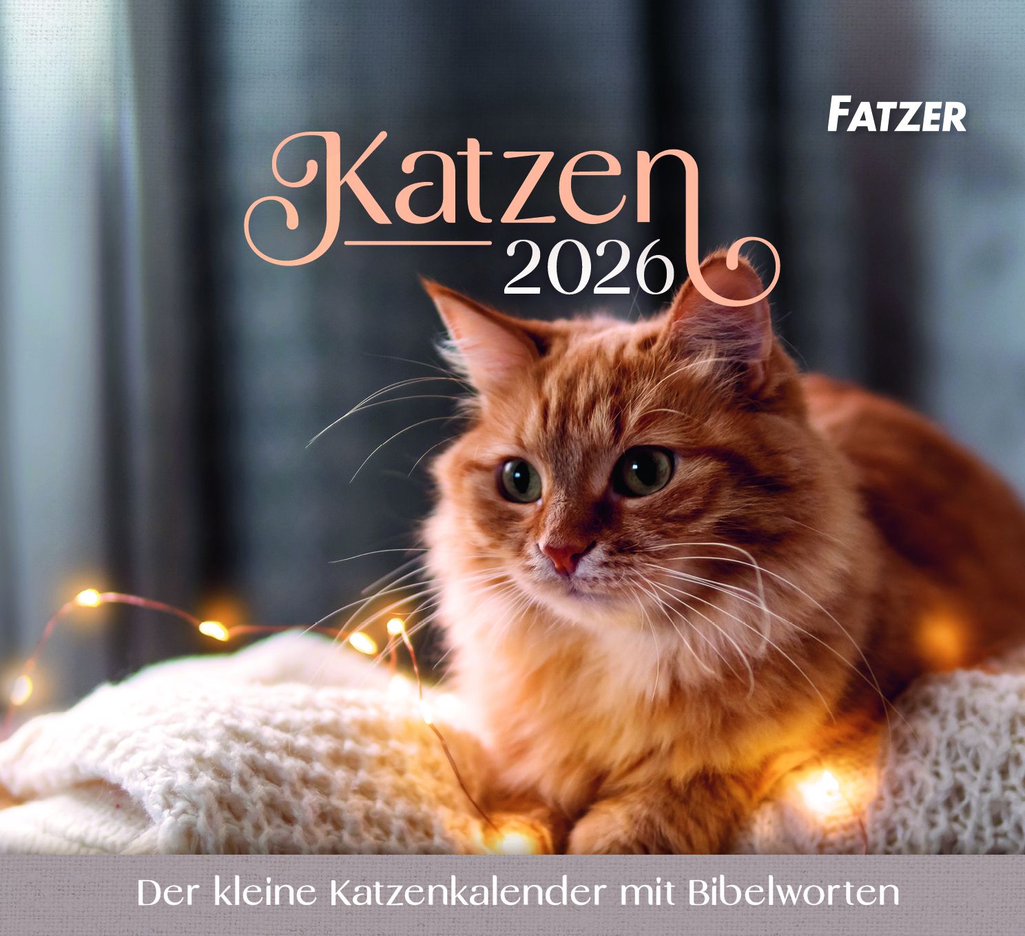 Katzen 2026 - Tischkalender