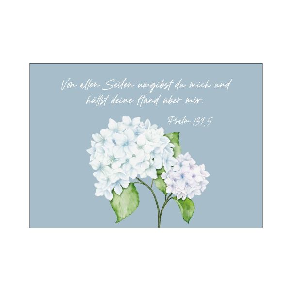 Postkarte "Hortensie"